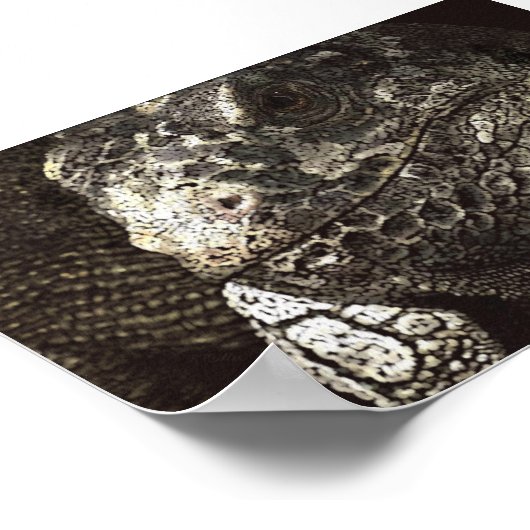 Iguana Poster (Hoek)