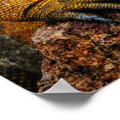 Iguana Reptiel Kunst Poster (Hoek)