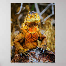 Iguana Reptiel Kunst Poster