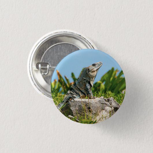 Iguana Ronde Button 3,2 Cm (Voorkant /achterkant)