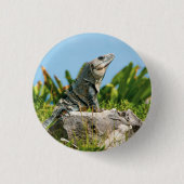 Iguana Ronde Button 3,2 Cm (Voorkant)