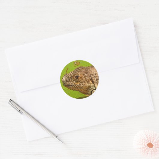 IGUANA RONDE STICKER (Envelop)