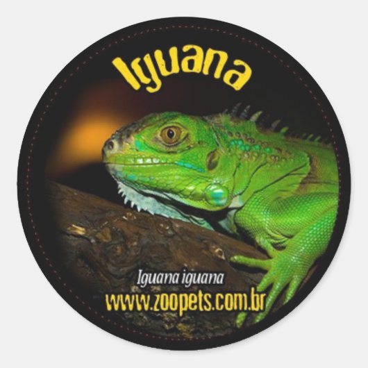 iguana ronde sticker (Voorkant)