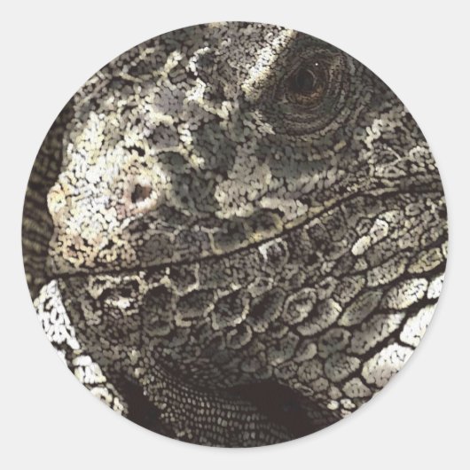 Iguana Ronde Sticker (Voorkant)