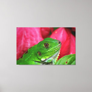 Iguana - roze en groen canvas afdruk