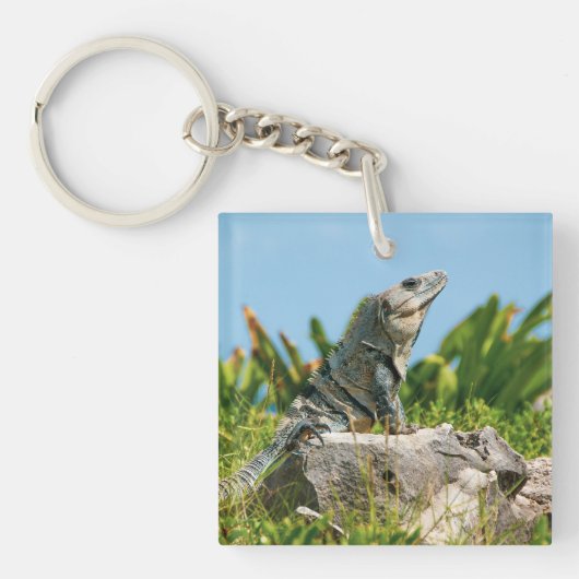 Iguana Sleutelhanger (voorkant)