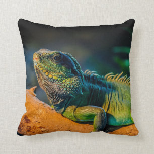 Iguana Square Sierkussen