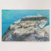 Iguana Sunbathing on Beach Rock Legpuzzel (Horizontaal)