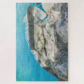 Iguana Sunbathing on Beach Rock Legpuzzel (Verticaal)