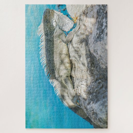 Iguana Sunbathing on Beach Rock Legpuzzel (Verticaal)