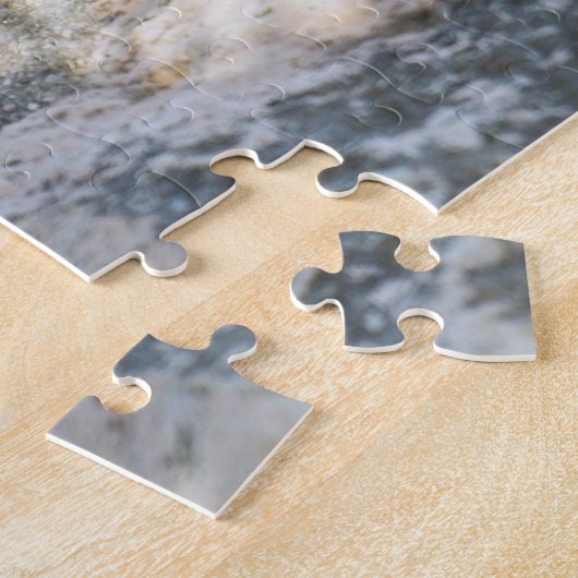 Iguana Sunbathing on Beach Rock Legpuzzel (Zijkant)