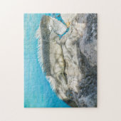 Iguana Sunbathing on Beach Rock Legpuzzel (Verticaal)