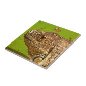 IGUANA TEGELTJE (Zijkant)