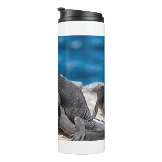 Iguana Thermosbeker (Geroteerd rechts)
