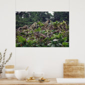 Iguana Tree Poster (Keuken)