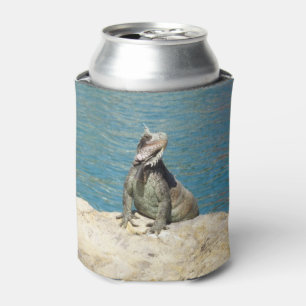 Iguana Tropical Wildlife Photography bij St. Thoma Blikjeskoeler