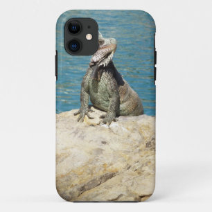 Iguana Tropical Wildlife Photography bij St. Thoma iPhone 11 Hoesje