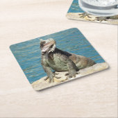 Iguana Tropical Wildlife Photography bij St. Thoma Kartonnen Onderzetters (Schuin)