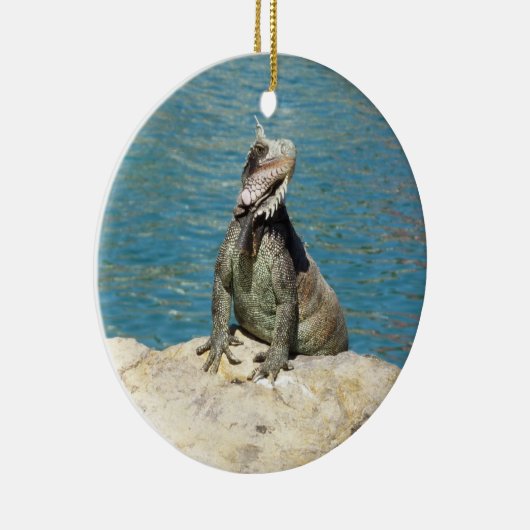 Iguana Tropical Wildlife Photography bij St. Thoma Keramisch Ornament (Rechts)