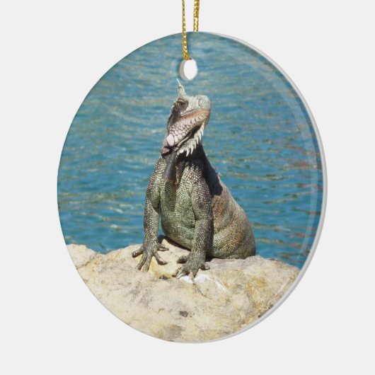 Iguana Tropical Wildlife Photography bij St. Thoma Keramisch Ornament (Links)