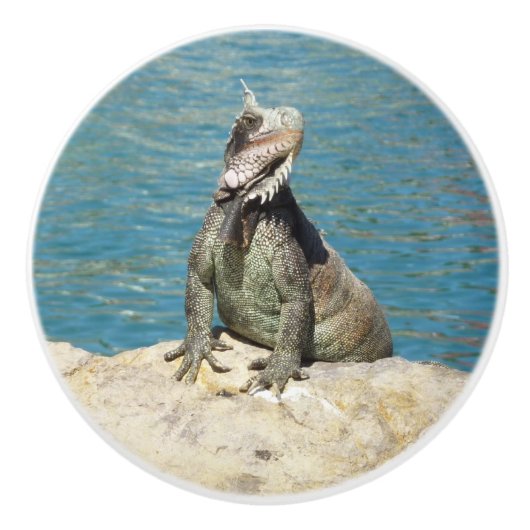 Iguana Tropical Wildlife Photography bij St. Thoma Keramische Knop (Voorkant)