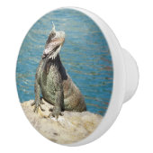 Iguana Tropical Wildlife Photography bij St. Thoma Keramische Knop (Rechts)