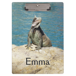 Iguana Tropical Wildlife Photography bij St. Thoma Klembord