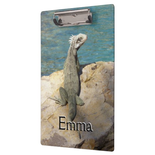 Iguana Tropical Wildlife Photography bij St. Thoma Klembord (Links)