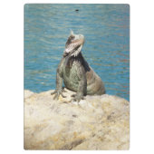 Iguana Tropical Wildlife Photography bij St. Thoma Klembord (Achterkant)