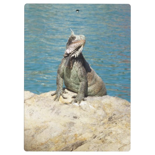 Iguana Tropical Wildlife Photography bij St. Thoma Klembord (Achterkant)