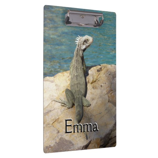 Iguana Tropical Wildlife Photography bij St. Thoma Klembord (Rechts)