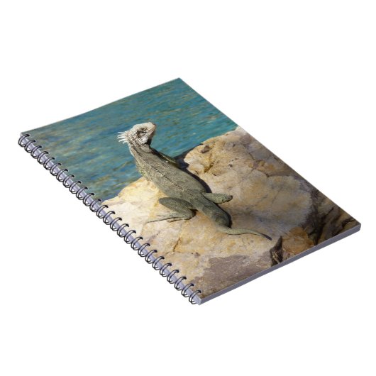 Iguana Tropical Wildlife Photography bij St. Thoma Notitieboek (Rechterzijde)