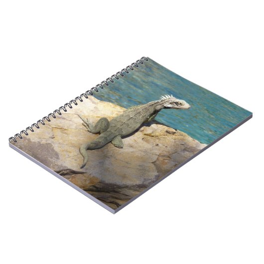 Iguana Tropical Wildlife Photography bij St. Thoma Notitieboek (Linkerzijde)