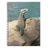 Iguana Tropical Wildlife Photography bij St. Thoma Notitieboek (Voorkant)