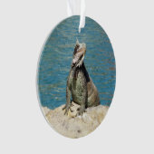 Iguana Tropical Wildlife Photography bij St. Thoma Ornament (voorkant)