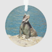 Iguana Tropical Wildlife Photography bij St. Thoma Ornament (achterkant)