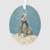 Iguana Tropical Wildlife Photography bij St. Thoma Ornament (voorkant)