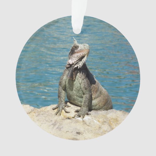 Iguana Tropical Wildlife Photography bij St. Thoma Ornament (voorkant)