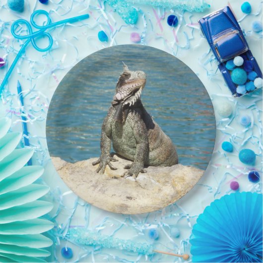 Iguana Tropical Wildlife Photography bij St. Thoma Papieren Bordje (Feest)