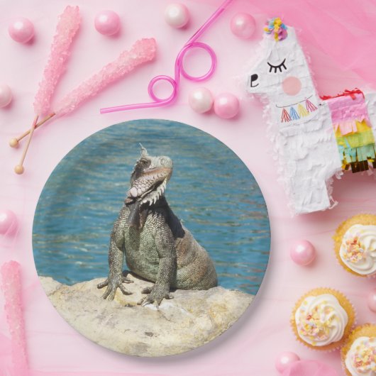 Iguana Tropical Wildlife Photography bij St. Thoma Papieren Bordje (Feest)