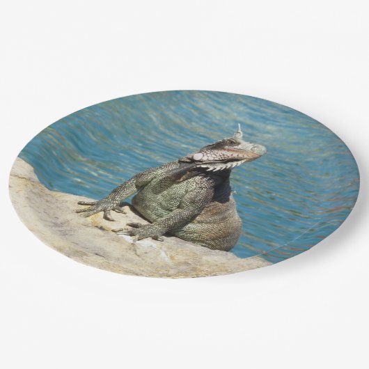 Iguana Tropical Wildlife Photography bij St. Thoma Papieren Bordje (Gekanteld)