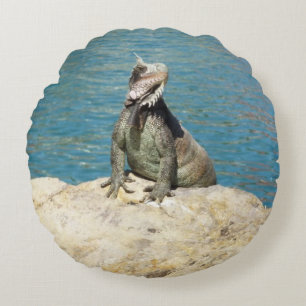Iguana Tropical Wildlife Photography bij St. Thoma Rond Kussen