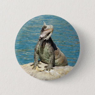 Iguana Tropical Wildlife Photography bij St. Thoma Ronde Button 5,7 Cm
