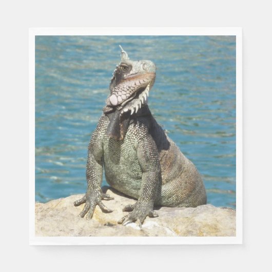 Iguana Tropical Wildlife Photography bij St. Thoma Servetten (Voorkant)