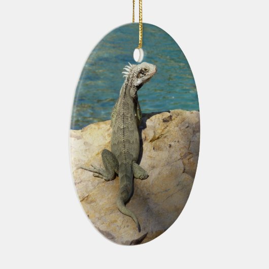 Iguana Tropical Wildlife Photography Keramisch Ornament (Rechts)