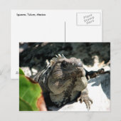 Iguana, Tulum, Mexico Briefkaart (Voorkant / Achterkant)