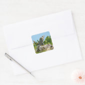 Iguana Vierkante Sticker (Envelop)