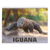Iguana Wall Calendar Kalender (Hoes)