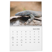 Iguana Wall Calendar Kalender (Mar 2026)