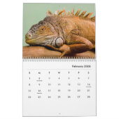 Iguana Wall Calendar Kalender (Feb 2026)